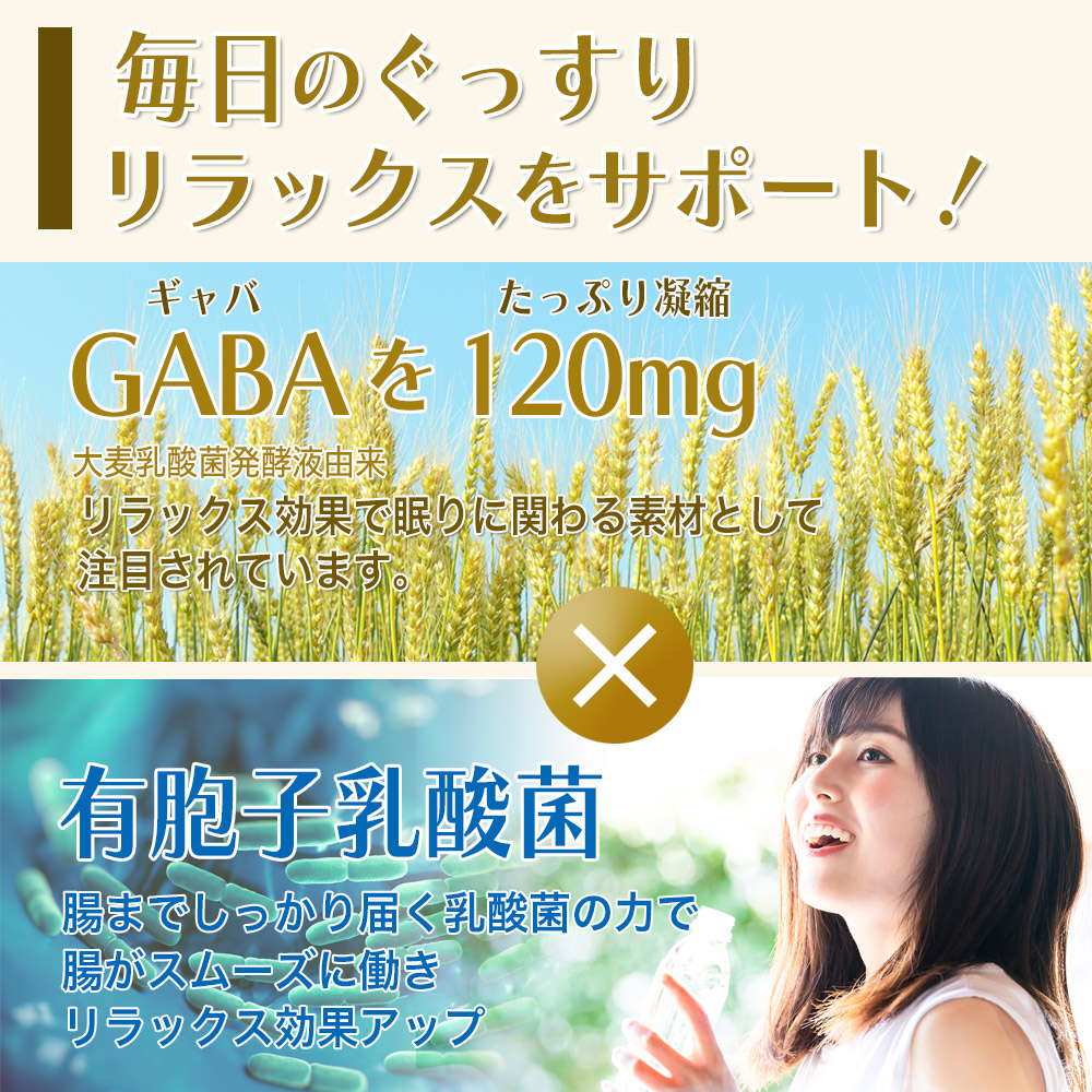 GABA 120mg ギャバ 有胞子乳酸菌 ケルセチン 葉酸 ビタミンB6