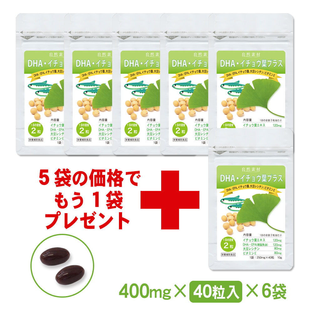 DHA・イチョウ葉プラス：DHA　EPA　イチョウ葉　大豆レシチン　ビタミンE入　サプリメント　ハーフタイプ　6袋セット（約120日分）