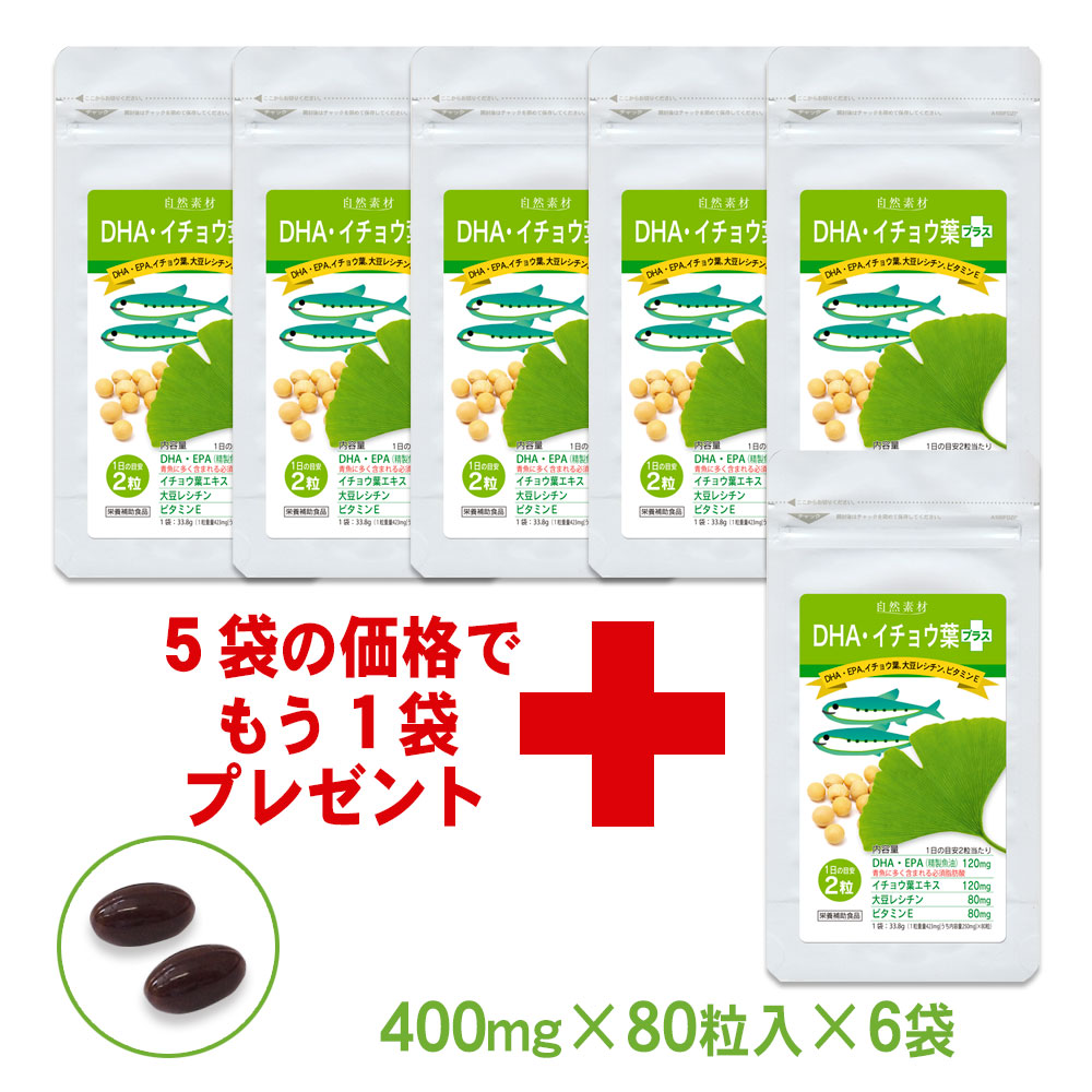 DHA・イチョウ葉プラス：DHA　EPA　イチョウ葉　大豆レシチン　ビタミンE入　サプリメント 6袋セット（約240日分）