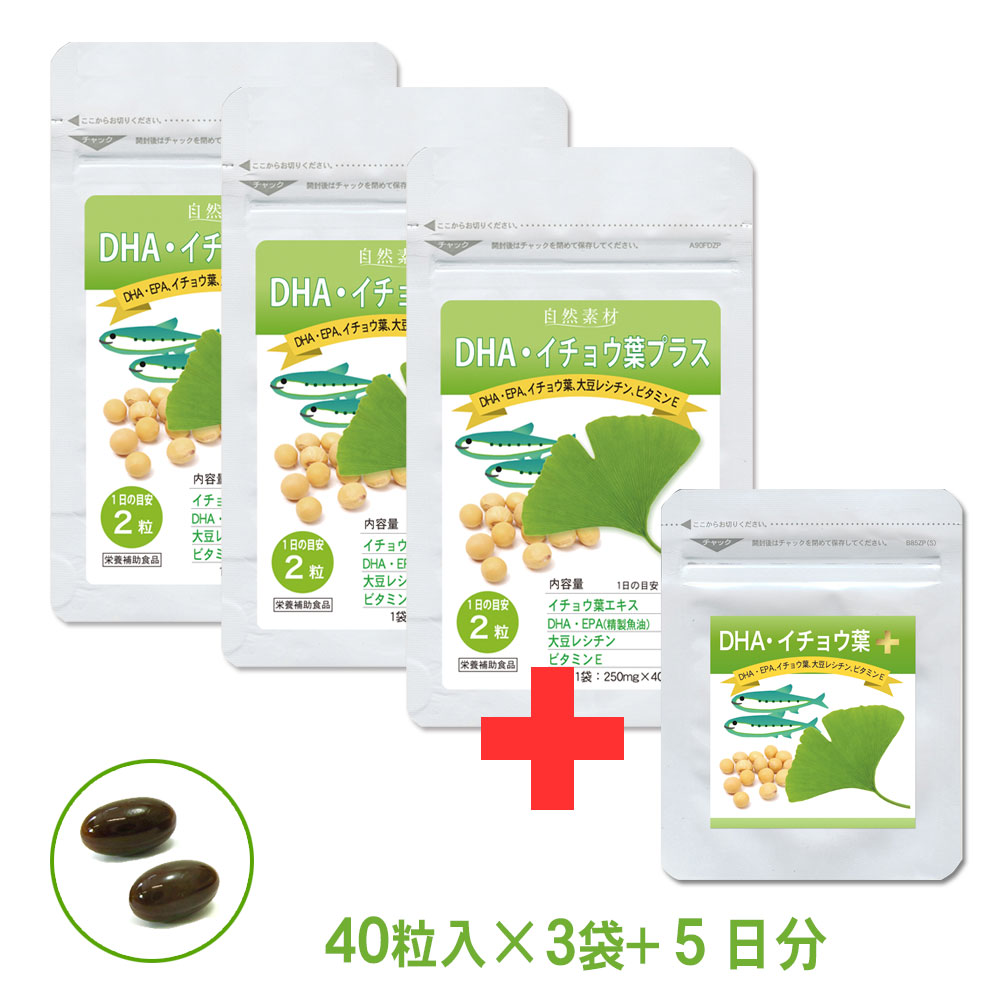 DHA・イチョウ葉プラス40粒入×3袋セット DHA・EPA、イチョウ葉配合