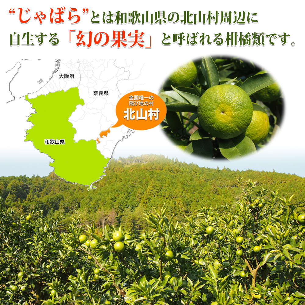 “じゃばら”とは和歌山県の北山村周辺に自生する「幻の果実」と呼ばれる柑橘類です。