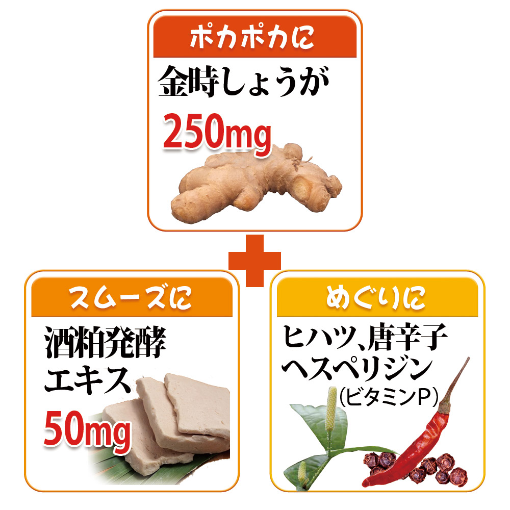 １日の目安２粒中に金時しょうがをたっぷり250mg配合、酒粕発酵エキス 50mg、ヒハツ、唐辛子、黒胡椒配合