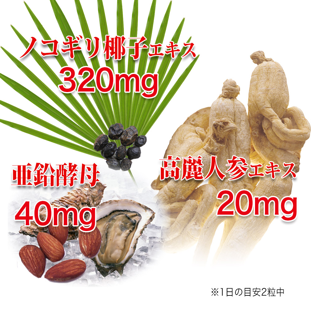 １日の目安２粒中：ノコギリ椰子エキス　120mg、高麗人参エキス20mg、亜鉛酵母 40mg配合。