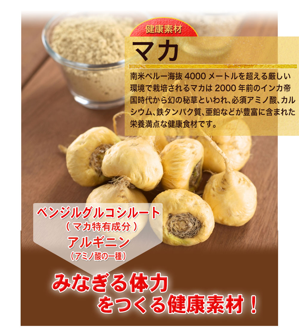 マカ　マカは2000年前のインカ帝国時代から“幻の秘草”として大切にされてきました。