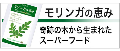  自然力　モリンガの恵み　120粒入　6袋　食物繊維 GABA カルシウム ポリフェノール アミノ酸 