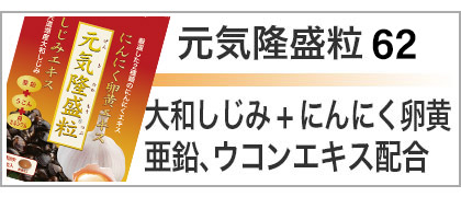元気隆盛粒