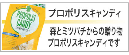 プロポリスキャンディ