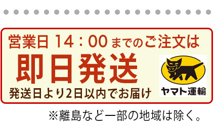 午後２時まで即日発送